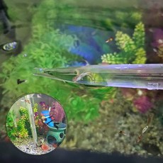 어항청소 치어분리 대형 스포이드 50ml 어항스포이드 스포이드 왕스포이드 대형스포이드, 없음, 없음, 상세설명 참조