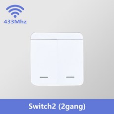 RF 스마트 스위치 LED DIY 양방향 자동화 모듈 릴레이 무선 433MHZ 수신기 조명 원격 16A 램프에 제어, 2 gang te