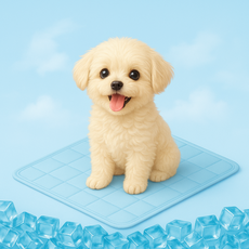 다잇대 강아지 고양이 필수 시원 쿨매트, 블루, 1개