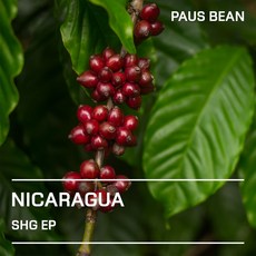 생두대빵 니카라과 SHG EP 생두, 1개, 500g