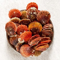 삼삼해물 제철 국내산 비단가리비 캠핑 가리비 1kg, 1개