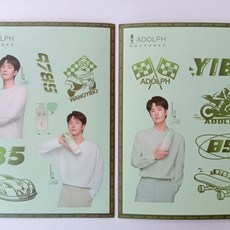 臺灣出貨-王一博週邊明信片正品阿道夫正版貼紙小卡代言明星限定王一博官卡, 1個, （綠）王一博貼紙2張