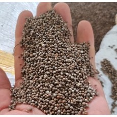 국산 생들깨 25년 햇들깨 햇깨 생깨 600g 통들깨 국산들깨, 1개