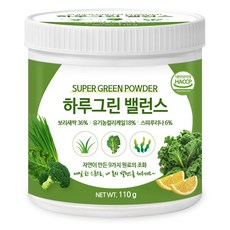 푸른들판 무가당 하루 그린 파우더 슈퍼 그린 주스 스무디 분말 스피루리나 케일, 1개, 110g