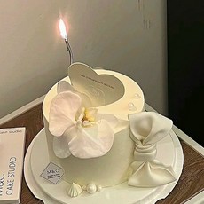 모형케이크 샘플 화이트 리본 쇼케이스 진열대 매장용 장식 인테리어, 이미지 3, 6 인치, 1개, 300g