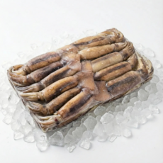 냉동 베이트 오징어 3kg 육동 오징어 통오징어 업소용 가정용, 베이트 통오징어10미