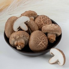 문경백화 국내산 표고버섯 1kg, 건표고버섯 슬라이스 100g, 1