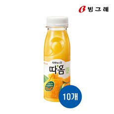 빙그레 따옴 천혜향 한라봉 청귤 (아이스박스포장), 235ml, 10개