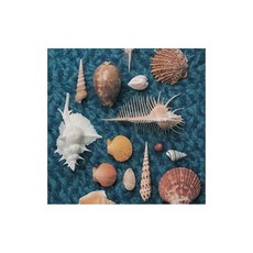 CYCLE HIT 1991-1997 Spitz Complete Single Collection(通常盤)