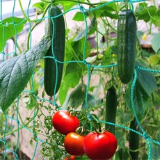 넝쿨식물지지대 그물 1.8x3.6m 오이 호박 텃밭가꾸기, 1개
