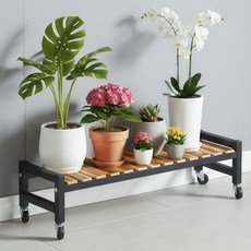 디원리빙 이동식 프리미엄 철제프레임 계단식 화분 정리 선반대, 블랙 80cm, 1단