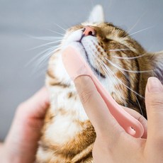 고양이 턱드름브러쉬 실리콘 꼬드름 블랙헤드마사지솔 관리 케어, 1개