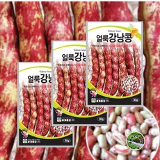 강낭콩씨앗 얼룩강낭콩 30g 3개 비덩굴성 얼룩 강낭콩 세계종묘