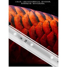 仟湖OF LED超強水中神奇美光燈 6尺 現貨出清 金&紅龍專用曬美太陽白燈 曬美燈 美曬燈 (限宅配), 白色保固7天, 1個