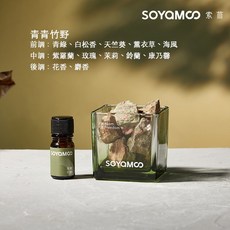 SOYAMOO 索苜 香氛擴香石晶石精油禮盒, 1個, 青青竹野