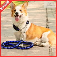 트위스트 일체형 대형견 목줄 리드줄 세트 1.25m 블루블랙