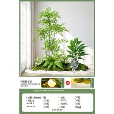 화분 조경 나무 A 참조 식물 모서리 장식 실내 계단, 본칭치 1.5m