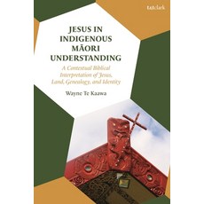 (外文書)Jesus in Indigenous Maori Understanding: A Contextual Biblical Interpretation of... Hardcover, T&T Clark, English