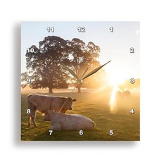 3D Rose Cows in Field-Sunrise-Usk Valley-South Wales-UK 벽시계 25.4 x 25.4cm(10 x 10인치)