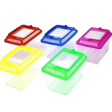 곤충채집통 뱀통 채집통 잠자리통 파충류채집ehw6+7ZCP