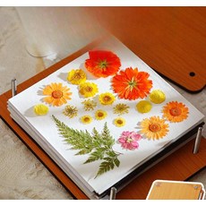 압화프레스 꽃 누르미 공예 원예 마른 도구 누르기 스티커 압화 .1, 유리 액자