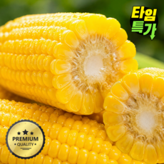 [재구매1위] 꿀당도 초당옥수수 특품 당일수확, 1개, 5개