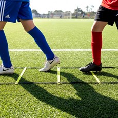 트레이닝 스텝레더 풋워크 6m, 1개, 상세페이지 참조