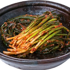 강진모란김치 국산 숙성 전라도 강진 김치 익은 파김치, 1개