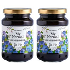 마이노멀 블루베리잼, 320g, 2개