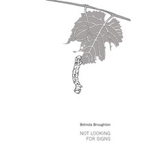 (영문도서) Not Looking For Signs Paperback, Debbie Lee, English, 9781760418625