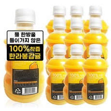 JEJURANG 原味橘子果汁, 10瓶, 320ml