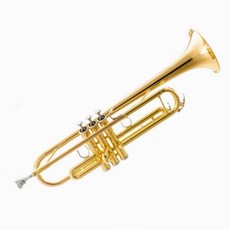 입문용 트럼펫 B플랫 3음 연습용 트럼펫용 나팔 케이스 C톤 관악기, 골드 트럼펫 보급형 더본, 1개