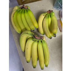 바나나 베트남 3송이 영양성분 제철 대용량 신선 식품 3.9kg 1개