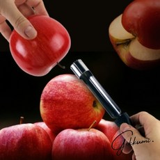 슬우네Pick 사과심 제거기 간편주방도구