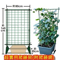 園藝支架 爬藤架 爬藤網 網架 盆栽 專用支架 瓜架 菜架, 1個