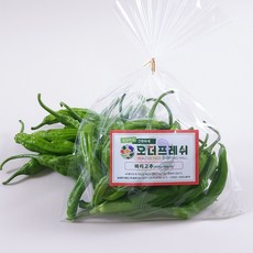 [오더프레쉬 소포장] 꽈리고추 볶아 바로 먹는 반찬용 채소, 1개, 100g