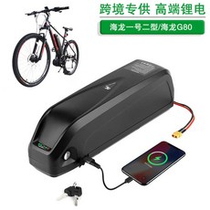 충전식 배터리 산악 흡수 BMS 운송 가변 전기자전거 오프로드 전동 자전거용 통학, 12 하이롱 배터리 48V16AH