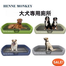 不鏽鋼網格寵物尿盆：防濺灑、防滑、易清潔中小型犬狗廁所, 【大號】塑料網-藍色,贈砂鏟+誘導+除臭+洗耳+驅蟲噴霧, 1個