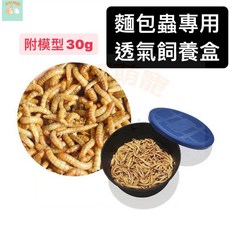 本町萌寵 爬蟲昆蟲外出盒 飼養盒 觀察盒 守宮 蜘蛛 螳螂 鍬形蟲 兜蟲 獨角仙, 1個, 麵包蟲飼料30g