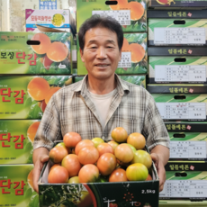 [가락시장직송] 새벽경매로 더 신선한 대저짭짤이토마토 2.5kg, 1박스, 대저토마토 대과(L~2L) 2.5kg