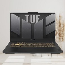 에이수스 2024 TUF 게이밍 F17 코어i7 인텔 13세대 지포스 RTX 4050, 메카 그레이, 1536GB, 32GB, Free DOS, FX707VU-HX107