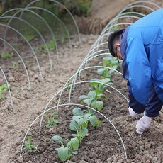 비닐 하우스 지지대 빼대 주말 농장 밭 프레임 50개, 1개, 6mmx2m (폭1.1-1.3m) 50개