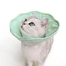 모즈펫 마카롱 반려동물 넥카라 중성화 수술 핥기 방지, 1개, 녹색