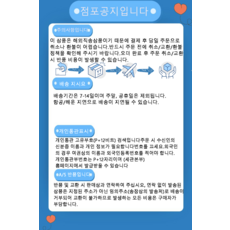 봄과 여름 부드러운 부드러운 블루 인형 칼라 코트 복고풍 느슨한 거품 소매 셔츠 여자