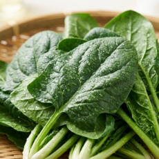 [특가찬스!] 달근고소 제철 노지 시금치, 1박스, 4kg