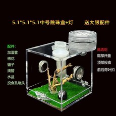투명 파충류 사육장 거미 사마귀 아크릴 애완 곤충 번식 생태 상자 관찰, 5.2cm 조경 상자 + 램프 (큰 눈 장식)