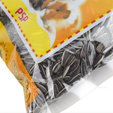 최군상점 해바라기씨 380g 다람쥐간식
