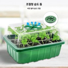 발아 키트 씨앗 트레이 식물 온실 베이스 재배 미니, 1개, 초록
