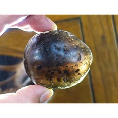 能量礦石 印尼隕石河川滾石拋光 Agni Manitite 火山玻璃 122克 黑隕石 居家空間淨化擺飾