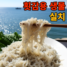 [한정기획특가]국산 제철 생물 실치회 횟감, 1박스, 300g